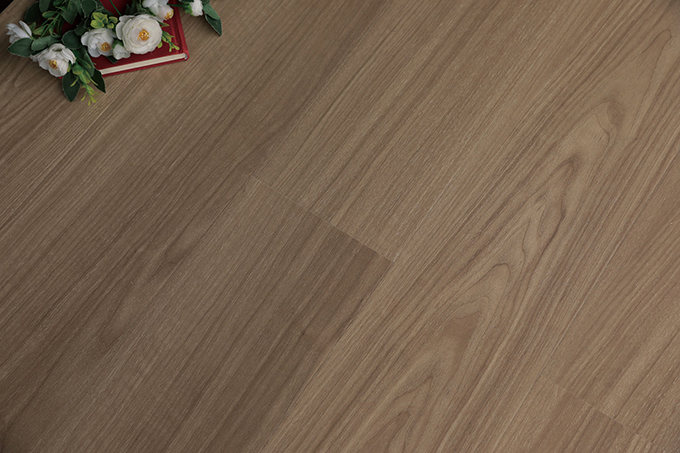 久久99精品久久久久久久不卡