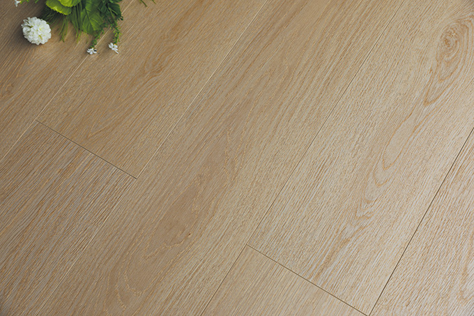 久久99精品久久久久久久不卡