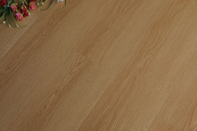 久久99精品久久久久久久不卡