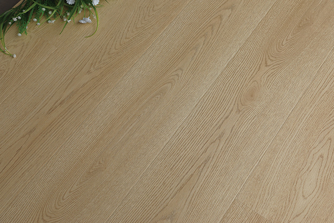 久久99精品久久久久久久不卡