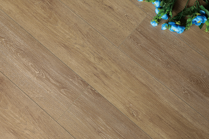 久久99精品久久久久久久不卡