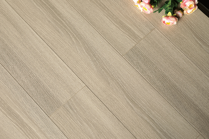 久久99精品久久久久久久不卡