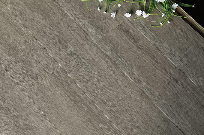 久久99精品久久久久久久不卡