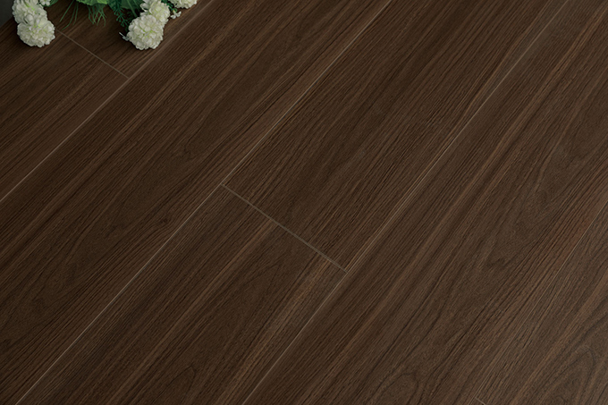 久久99精品久久久久久久不卡