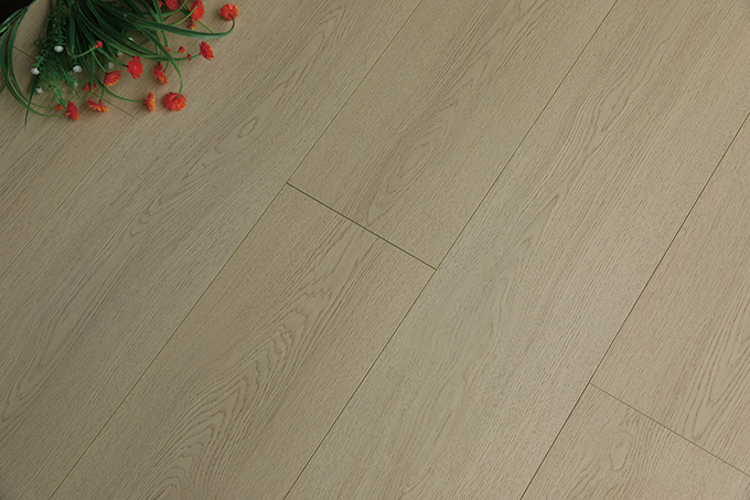 久久99精品久久久久久久不卡