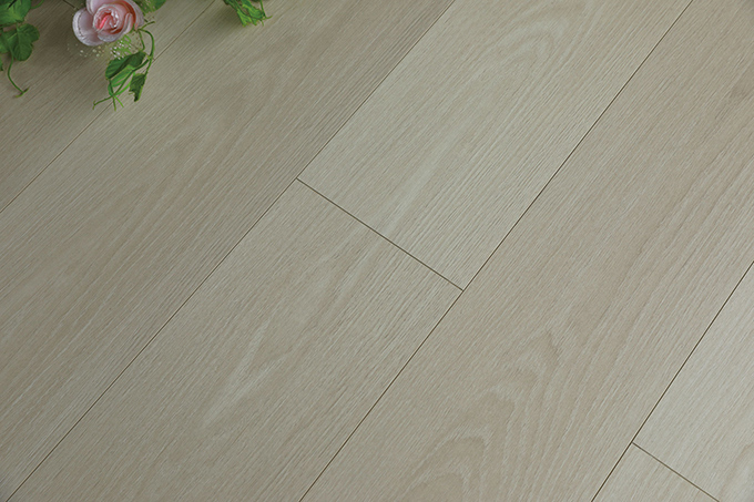 久久99精品久久久久久久不卡