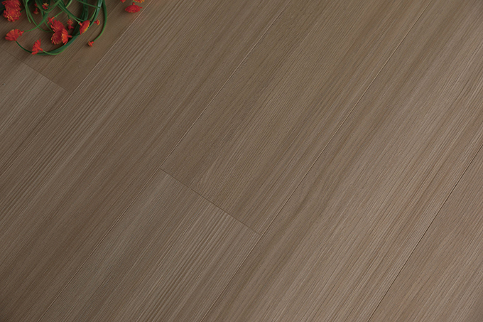 久久99精品久久久久久久不卡