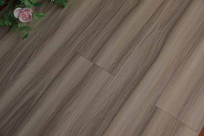 久久99精品久久久久久久不卡