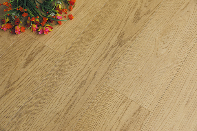 久久99精品久久久久久久不卡