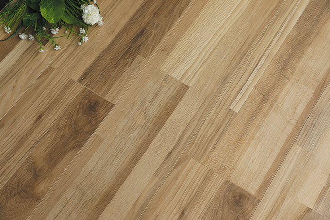 久久99精品久久久久久久不卡