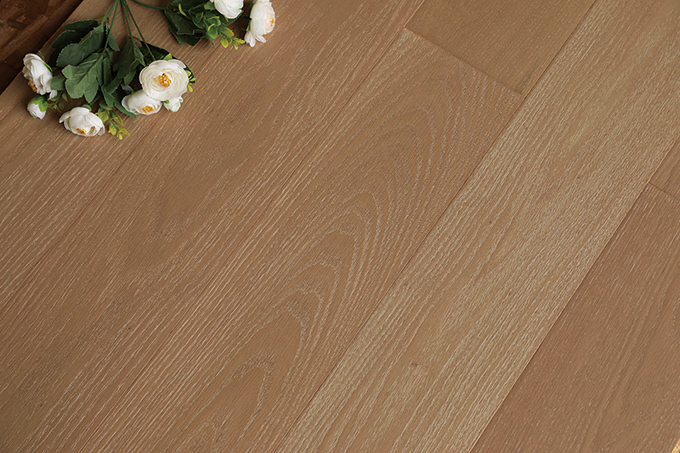 久久99精品久久久久久久不卡