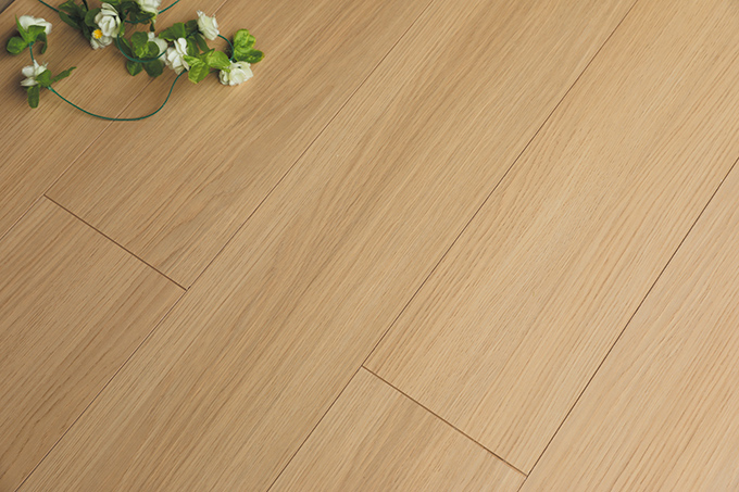 久久99精品久久久久久久不卡