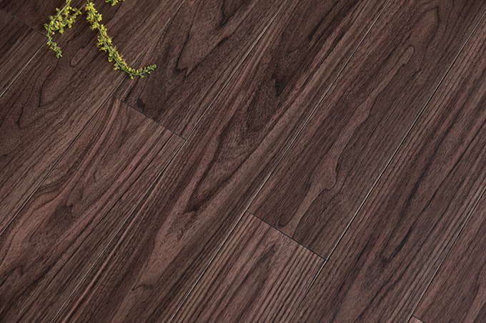 久久99精品久久久久久久不卡