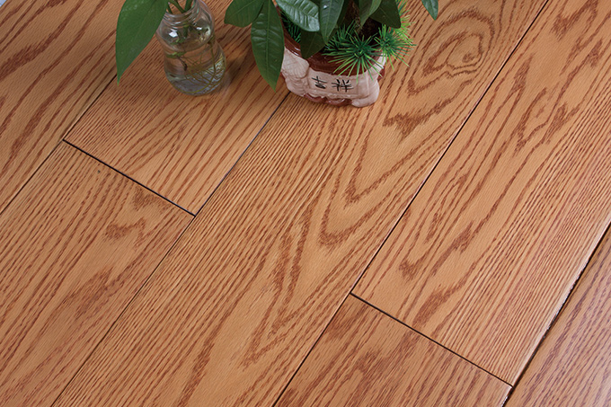 久久99精品久久久久久久不卡