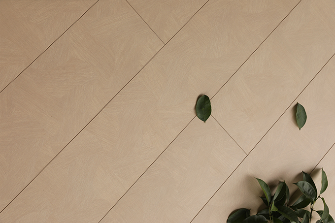 久久99精品久久久久久久不卡