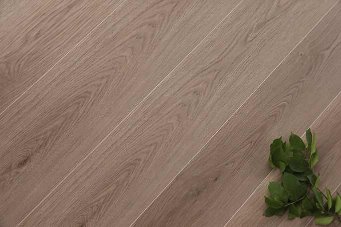 久久99精品久久久久久久不卡