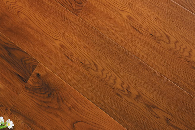 久久99精品久久久久久久不卡