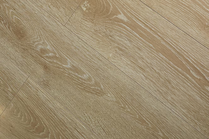 久久99精品久久久久久久不卡