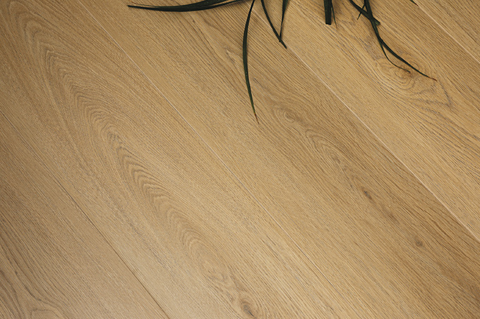 久久99精品久久久久久久不卡